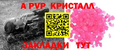 стаф Будённовск
