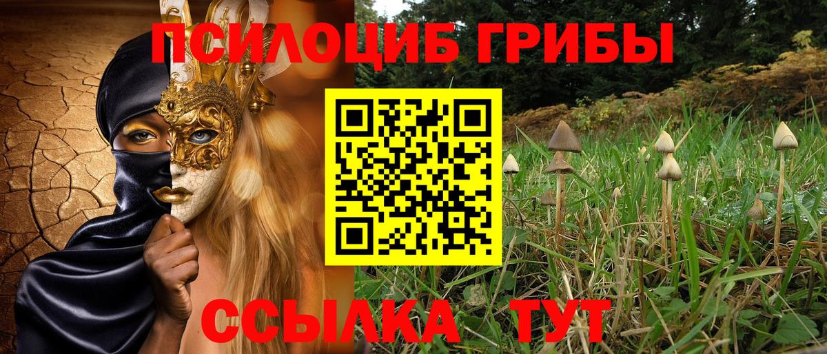 Псилоцибиновые грибы мухоморы  где продают наркотики  Протвино  Вход с VPN 
