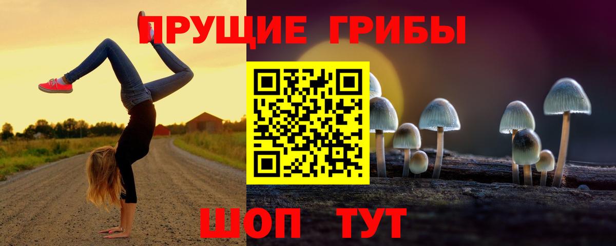 Псилоцибиновые грибы Psilocybine cubensis Протвино